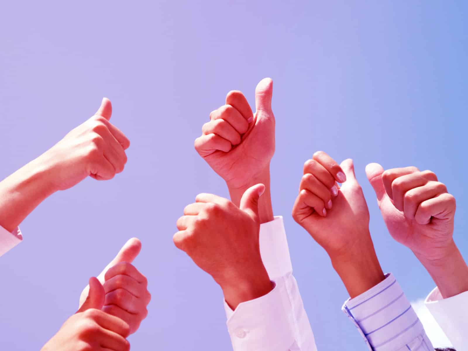 Dsquared: "Best of Thumbtack" Web Design Company for Two Years Running