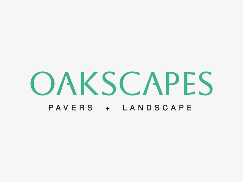 Creating a Brand With Professional Logo Design